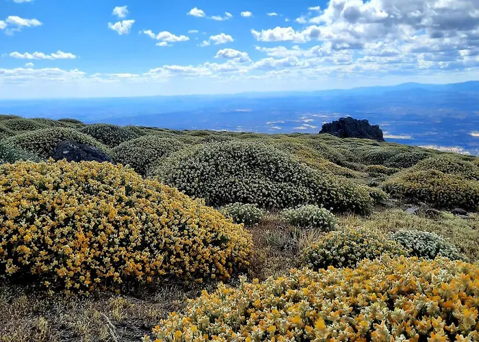 Rural Amaluna Appartement *