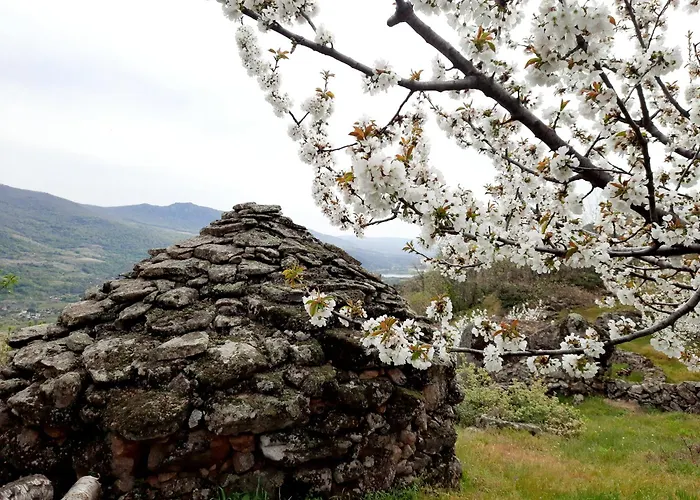 Rural Amaluna Appartement